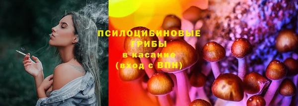 стафф Алексин