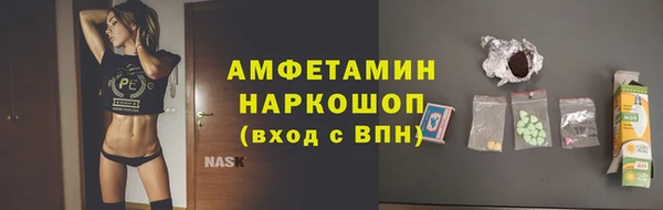 стафф Алексин