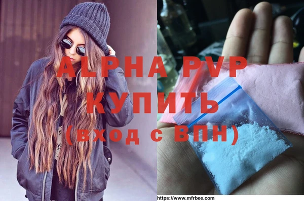 стафф Алексин