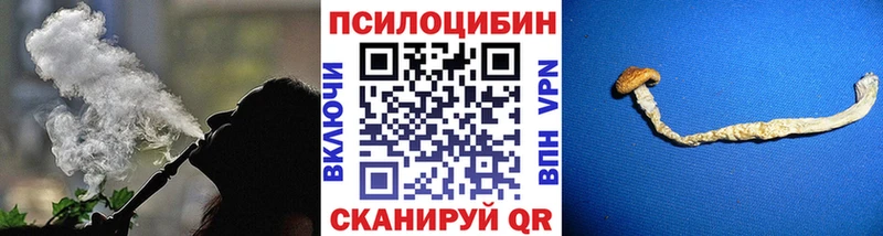 Псилоцибиновые грибы мицелий  Тихвин 